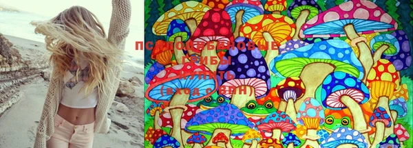не бодяженный Медвежьегорск