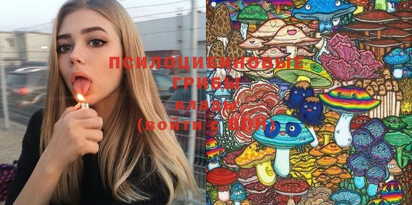 дмт Мегион