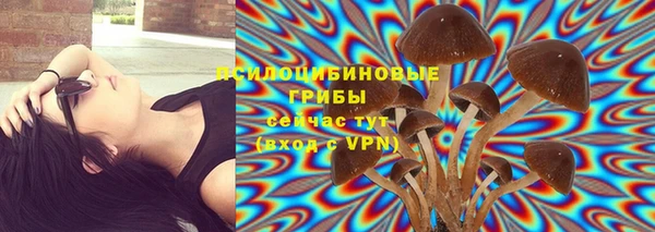 не бодяженный Медвежьегорск