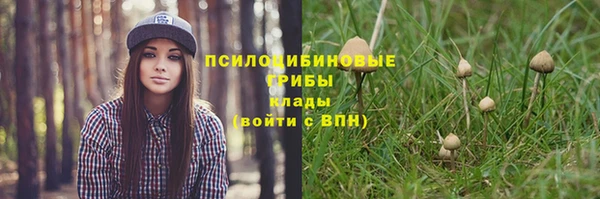 дмт Мегион
