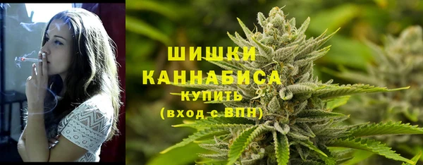 дмт Мегион