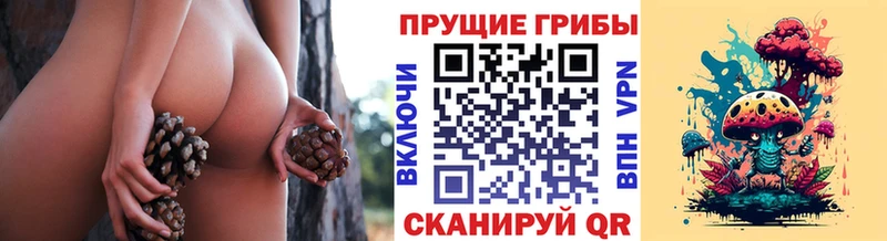 блэк спрут как зайти  где купить   Соликамск  Псилоцибиновые грибы мицелий 